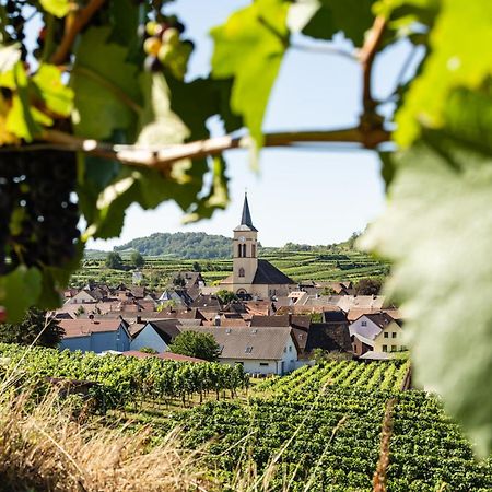 Braviscasa - Ferienresidenz Haus Am Bach Vogtsburg Am Kaiserstuhl Eksteriør billede