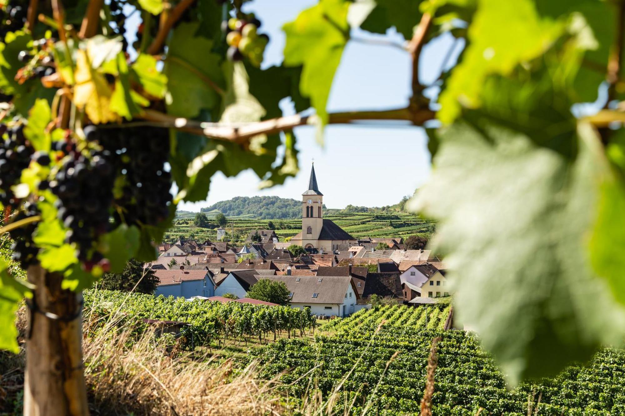 Braviscasa - Ferienresidenz Haus Am Bach Vogtsburg Am Kaiserstuhl Eksteriør billede